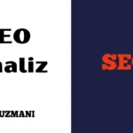 Bozdoğan SEO Analiz