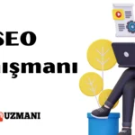 Pancar Organize Sanayi Bölgesi SEO Danışmanı